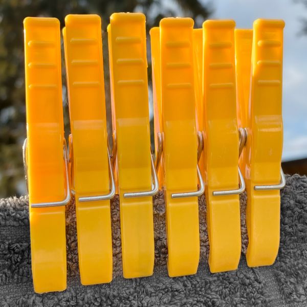 50 Wäscheklammern Kunststoff | Die extra Starke | Luran | wähle deine Farbe